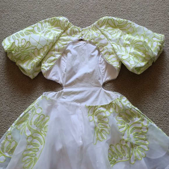 Aje Botanical Applique Mini Dress - Size AU 16 / US 12 - Picture 6 of 16